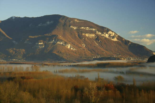 Vue de la réserve naturelle du marais de Lavours, partiellement située sur le territoire de Flaxieu - Flaxieu (01350) - Ain