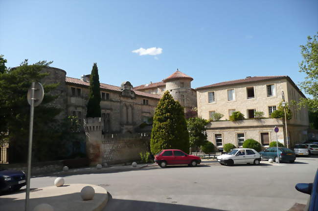 Clinique du château de Floransà La Roque-d'Anthéron - La Roque-d'Anthéron (13640) - Bouches-du-Rhône