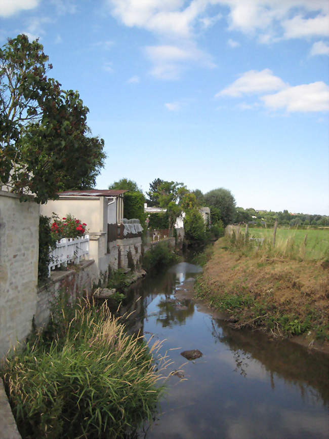 L'Odon au niveau du domaine de la Baronnie - Bretteville-sur-Odon (14760) - Calvados