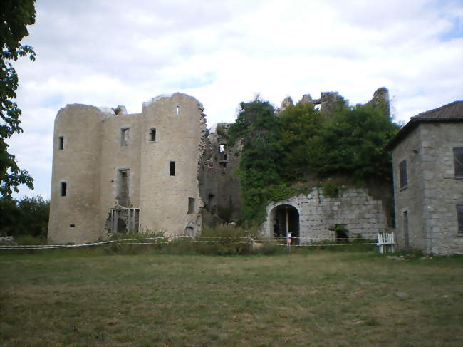 Château de Naucaze sur la commune de Saint-Julien-de-Toursac - Saint-Julien-de-Toursac (15600) - Cantal