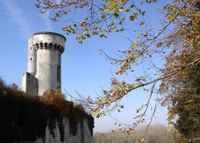 La tour du château - Taillebourg (17350) - Charente-Maritime