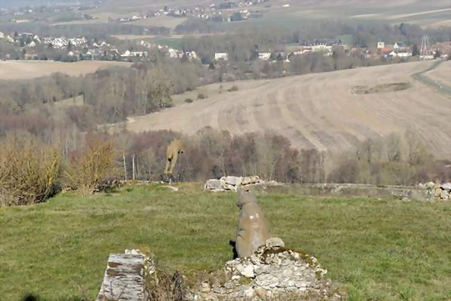 panorama depuis la table d'orientation illstrée par le loup et le chien; au fond, à gauche, Condé en Brie - Montigny-lès-Condé (02330) - Aisne