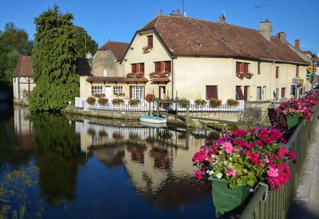 La Bèze à Mirebeau sur Bèze - Mirebeau-sur-Bèze (21310) - Côte-d'Or