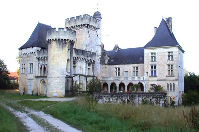 Le château de Campagne - Campagne (24260) - Dordogne