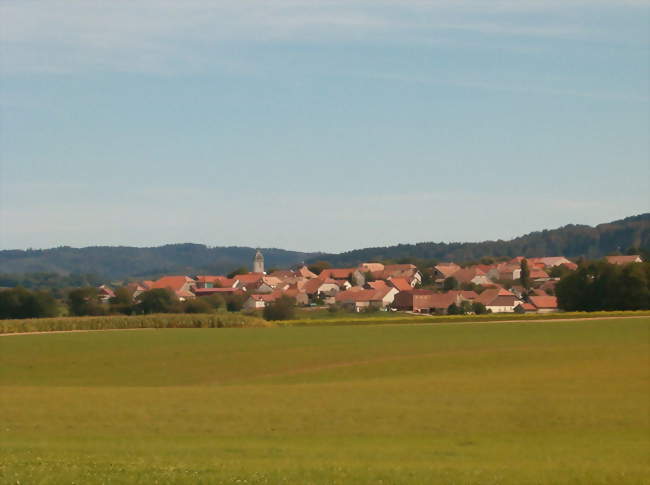 Vue sur le village et son territoire - Bolandoz (25330) - Doubs