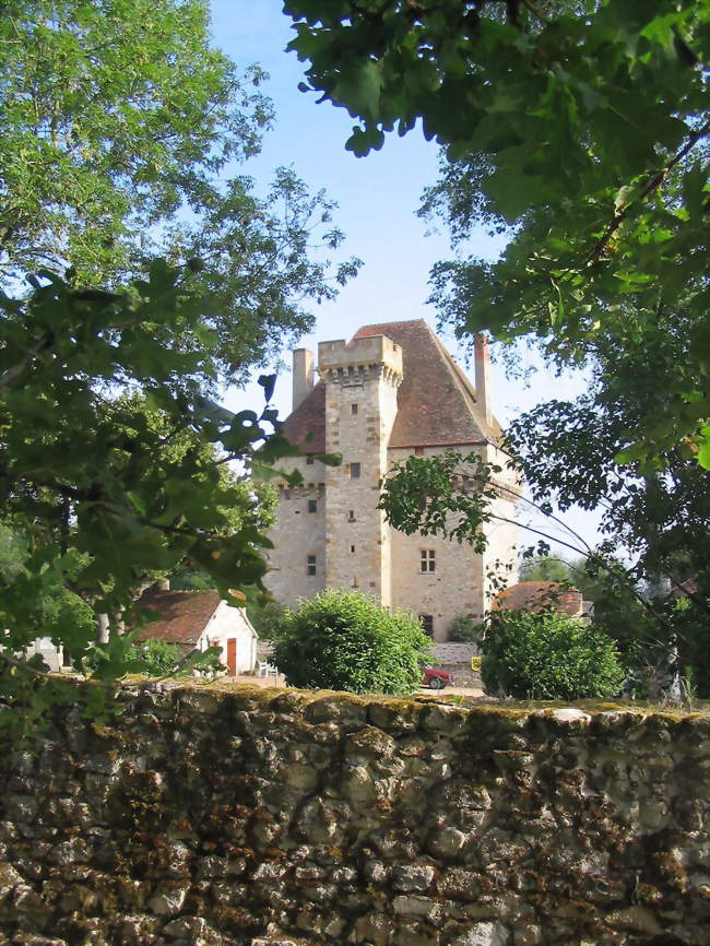 Château de la Souche à Doyet - Doyet (03170) - Allier