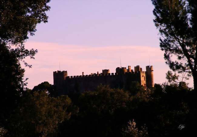 Le château fort féodal - Montfaucon (30150) - Gard