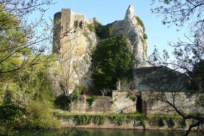 Ruines du château royal de Roquemaure - Roquemaure (30150) - Gard