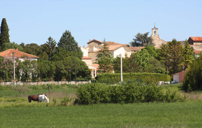 Saint-Hilaire-de-Brethmas - Saint-Hilaire-de-Brethmas (30560) - Gard