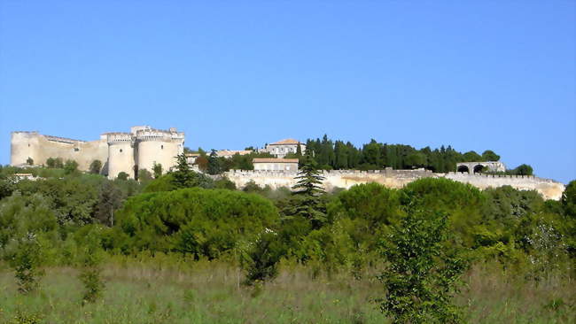 Le Fort Saint-André sur le Mont Andaon - Villeneuve-lès-Avignon (30400) - Gard