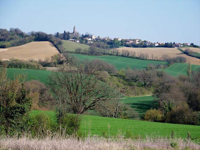 Le village de Montaut-les-Créneaux (Gers), vu du chemin de Forman à Preignan - Montaut-les-Créneaux (32810) - Gers