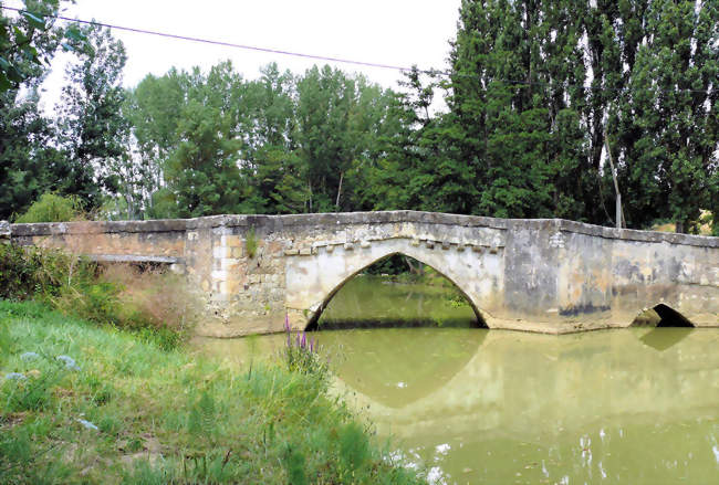 Vieux pont de Pavie - Pavie (32550) - Gers