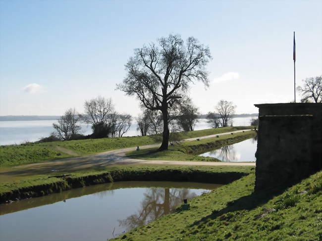 La Gironde vue depuis le site de Fort Médoc - Cussac-Fort-Médoc (33460) - Gironde