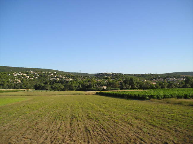 Combaillaux entre vignes et collines boisées - Combaillaux (34980) - Hérault