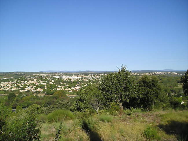 Vue d'ensemble depuis le bas jusqu'à Fontcaude - Juvignac (34990) - Hérault