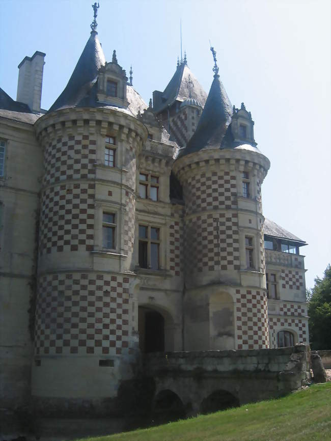 Le Château des Réaux - Chouzé-sur-Loire (37140) - Indre-et-Loire