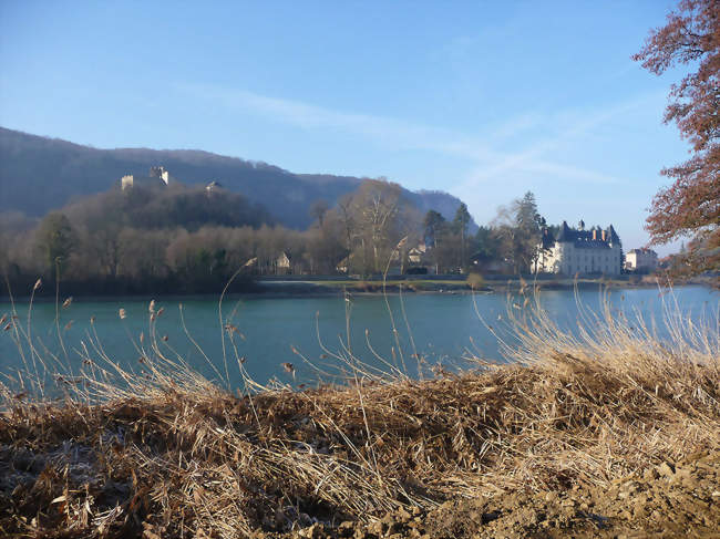 Châteaux vieux et neuf de Vertrieu - Vertrieu (38390) - Isère