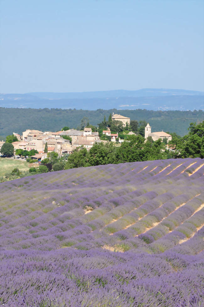 Entrevennes, le village et ses lavandes - Entrevennes (04700) - Alpes-de-Haute-Provence