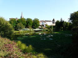 photo Rendez-vous aux jardins : Jardin Latour-Marliac