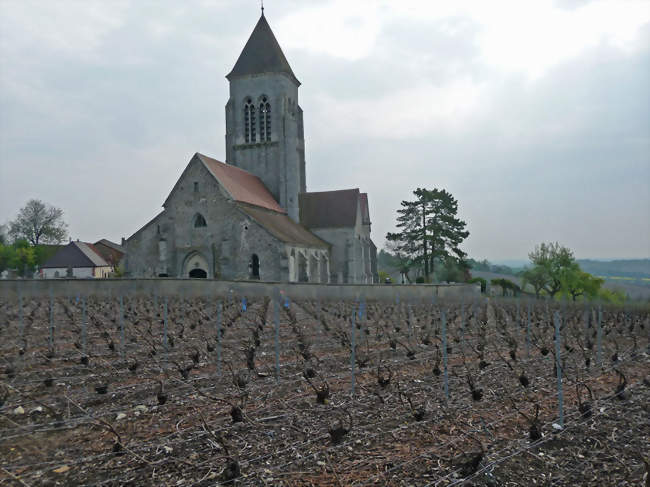 L'église Saint-Genest - Oyes (51120) - Marne