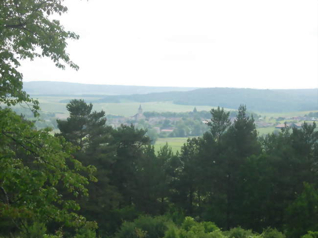Laferté-sur-Aube vue depuis les bois - Laferté-sur-Aube (52120) - Haute-Marne