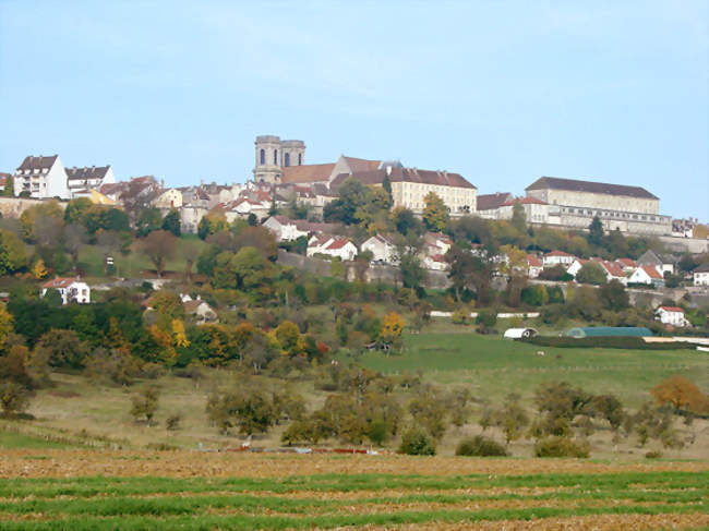 Langres, la ville fortifiée - Langres (52200) - Haute-Marne