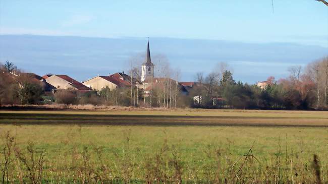 Vue de Bénaménil depuis la plaine de la Vezouze - Bénaménil (54450) - Meurthe-et-Moselle