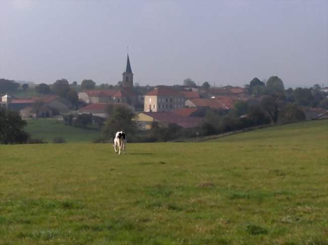 Vue sur le village en arrivant de Gondrecourt-le-Château - Mandres-en-Barrois (55290) - Meuse