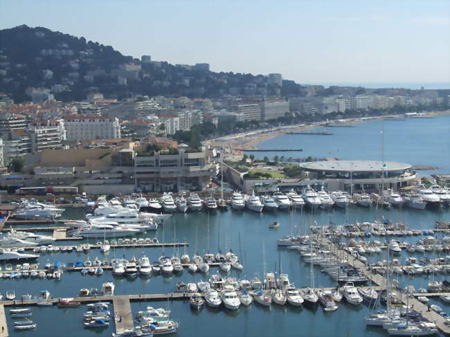 Au premier plan, le Vieux-Port de Cannes, le coin des pêcheurs, au pied du village historique du Suquet; Palais des festivals et au fond La Croisette et son célèbre hôtel Carlton - Cannes (06400 et 06150) - Alpes-Maritimes