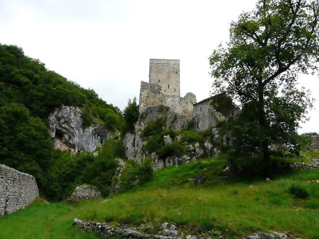 Les ruines du château des Comtes de Comminges, à Bramevaque - Bramevaque (65370) - Hautes-Pyrénées