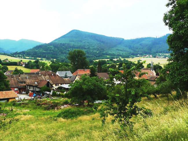 Une partie de Bassemberg vue depuis les hauteurs - Bassemberg (67220) - Bas-Rhin