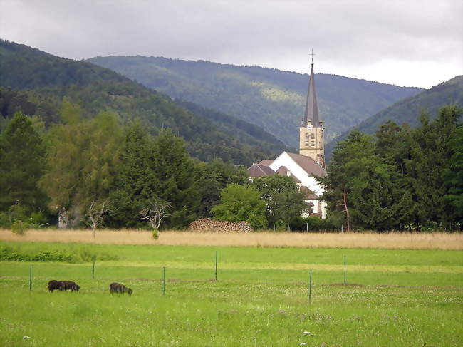 Dolleren, dans la vallée de la Doller - Dolleren (68290) - Haut-Rhin