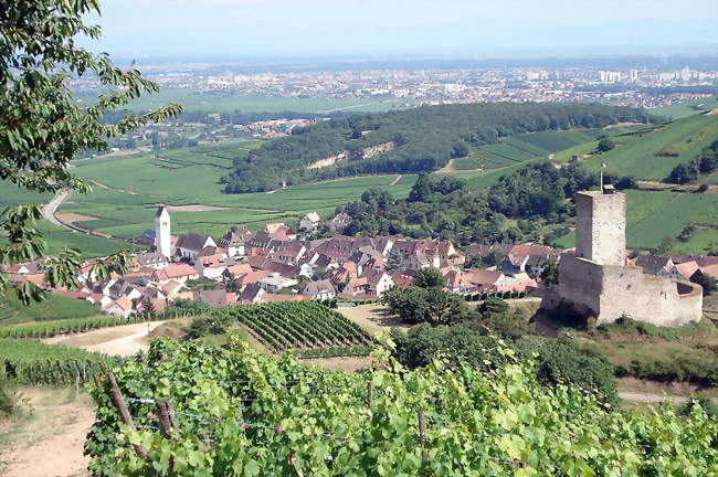 Katzenthal - château du Wineck, avec le village en contrebas À l'arrière-plan- la plaine d'Alsace, où s'étire l'agglomération colmarienne - Katzenthal (68230) - Haut-Rhin