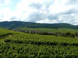 photo Hunawihr : découverte du sentier viticole et du village