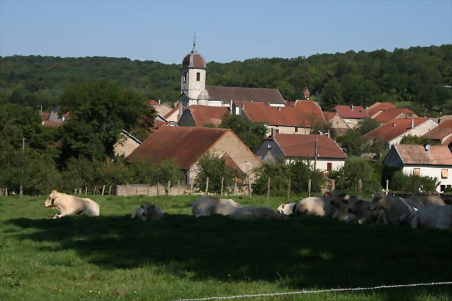 Vue de l'Eglise et du village - Borey (70110) - Haute-Saône
