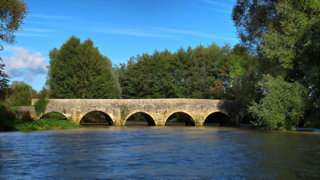 Pont sur le Salon à Montot - Montot (70180) - Haute-Saône