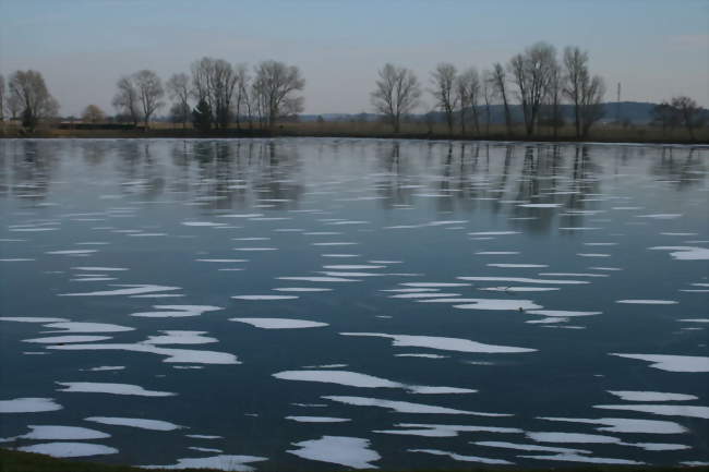 Le plan d'eau, pris par la glace - Varennes-sur-Seine (77130) - Seine-et-Marne