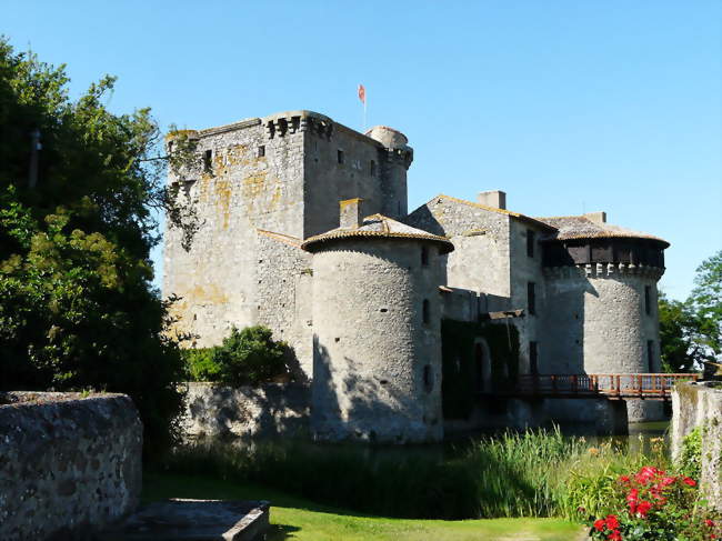 Le château de Tennessus - Amailloux (79350) - Deux-Sèvres