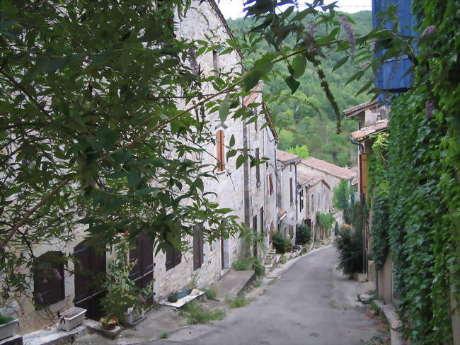 Rue du Barri d'Albi - Bruniquel (82800) - Tarn-et-Garonne