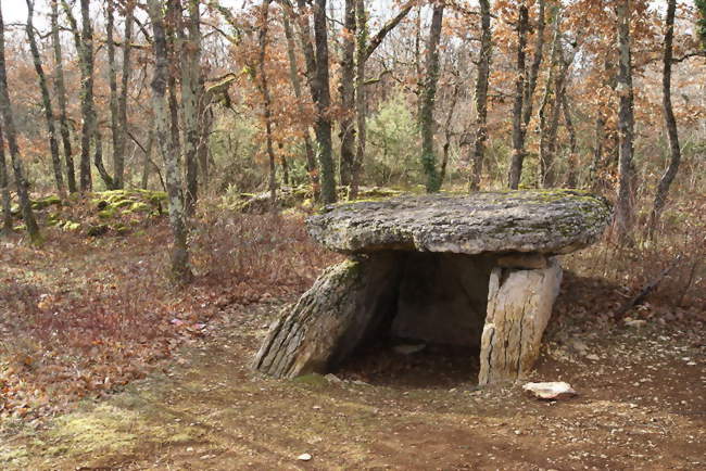 Le dolmen de Finelle - Septfonds (82240) - Tarn-et-Garonne