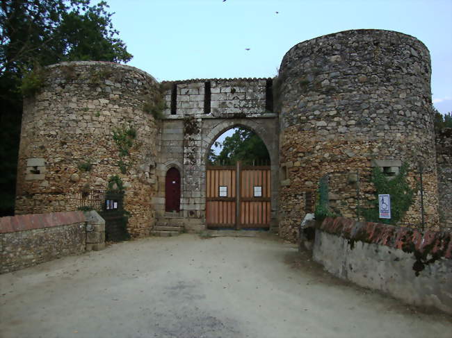 Le château - Les Essarts (85140) - Vendée
