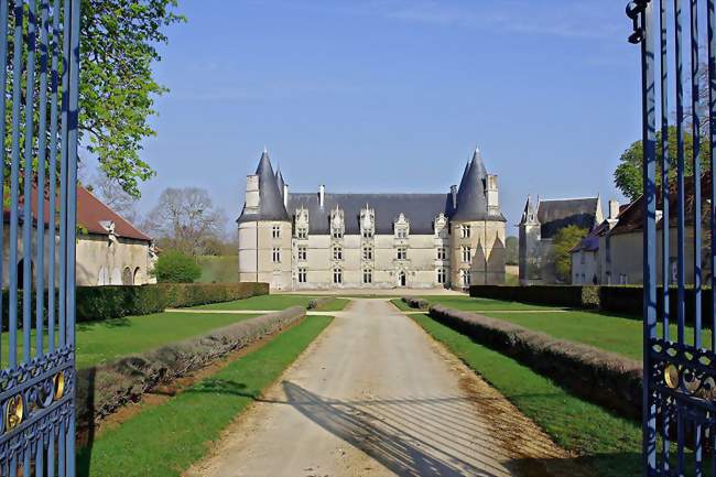 Le château de La Roche-Gençay - Magné (86160) - Vienne