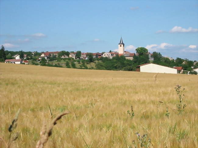 Vue générale - Fauconcourt (88700) - Vosges
