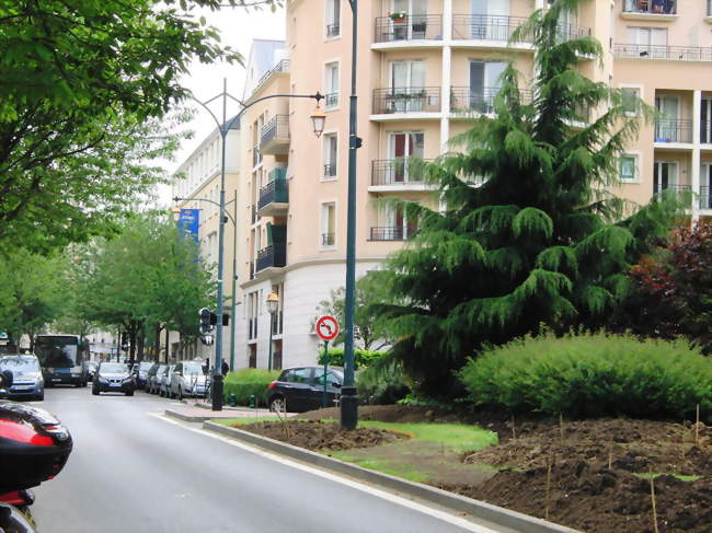 Rue du Maréchal-Leclerc à Saint-Maurice - Saint-Maurice (94410) - Val-de-Marne