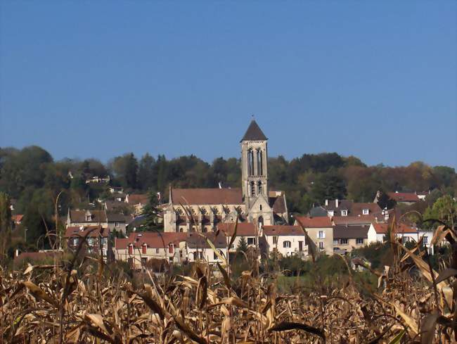 Vue sur le centre-ville, avec l'église Notre-Dame de l'Assomption - Champagne-sur-Oise (95660) - Val-d'Oise