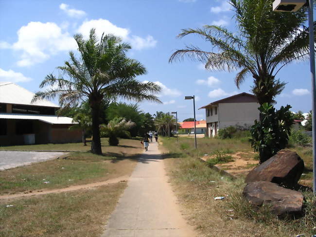 Vue de l'allée du Bac à Kourou - Kourou (97310) - Guyane
