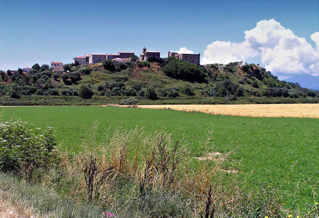 Vue d'Aléria - Aléria (20270) - Haute-Corse