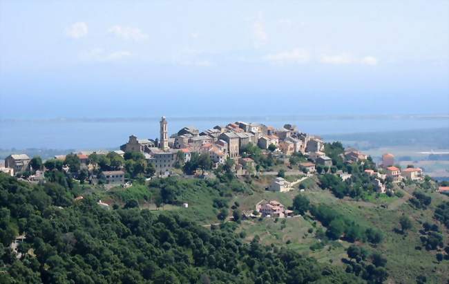 Le village de Borgo - Borgo (20290) - Haute-Corse