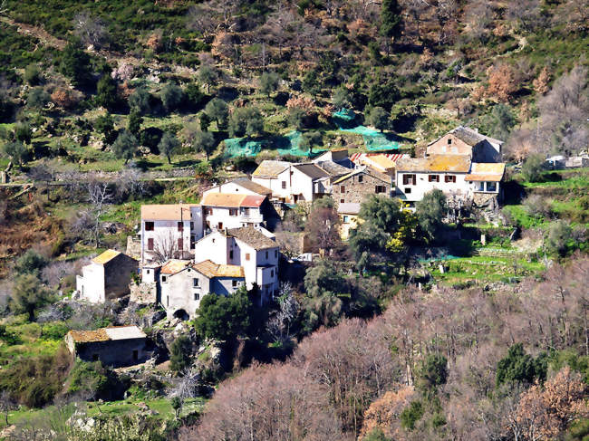 Vue de Campitello Panicale - Campitello (20252) - Haute-Corse