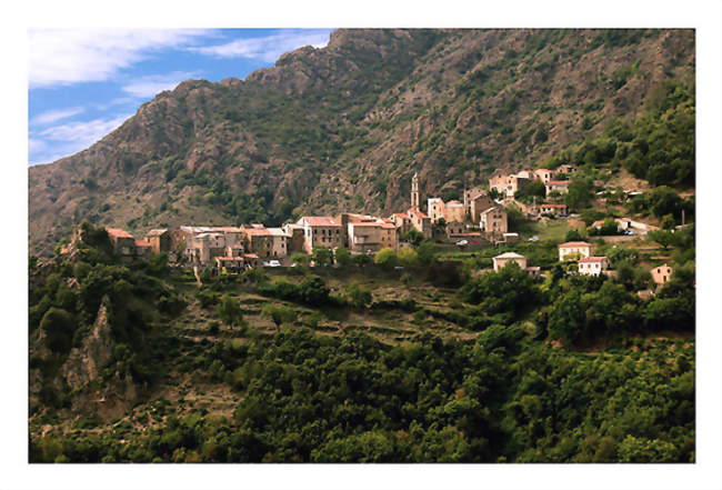 Vue du village - Castellare-di-Mercurio (20250) - Haute-Corse
